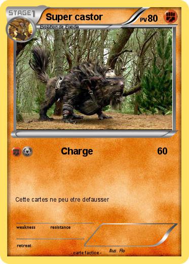 Pokemon Super castor