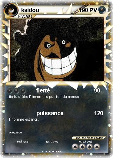 Pokemon kaidou
