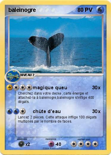 Pokemon baleinogre