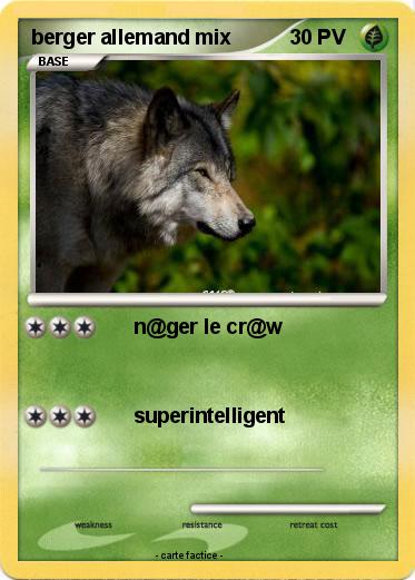 Pokemon berger allemand mix