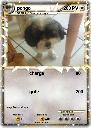 Pokemon pongo
