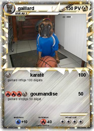 Pokemon gaillard