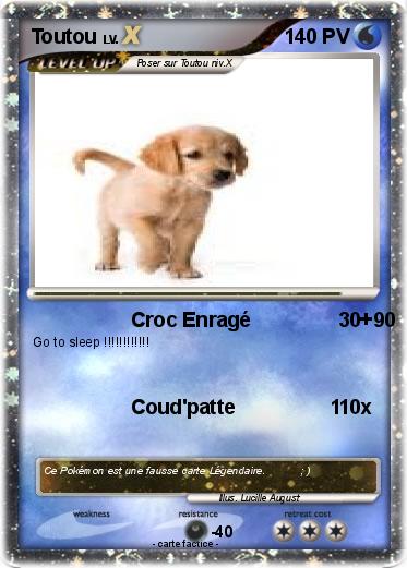 Pokemon Toutou