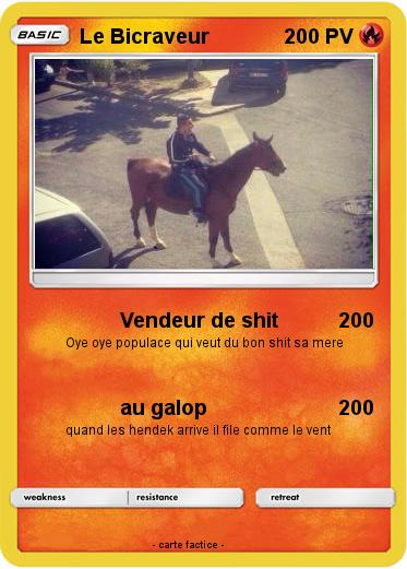 Pokemon Le Bicraveur