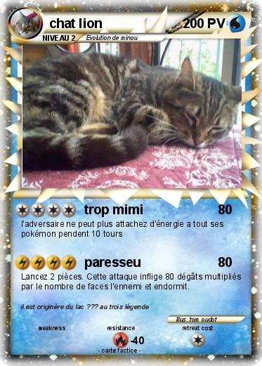 Pokemon chat lion