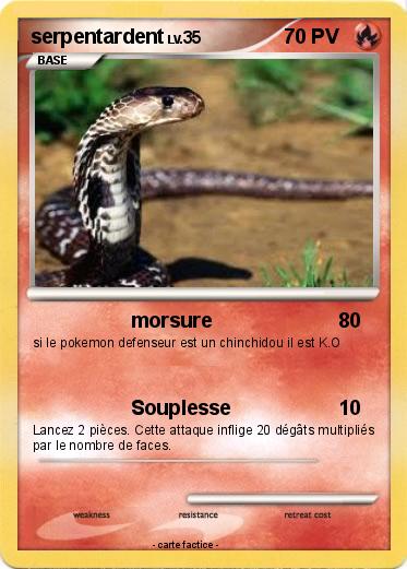 Pokemon serpentardent