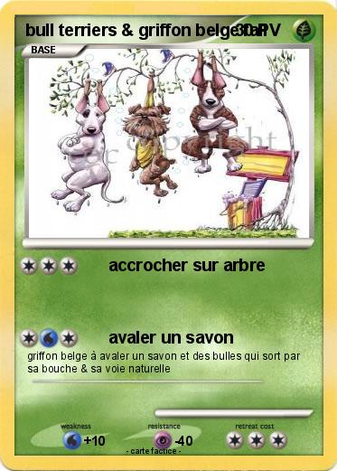Pokemon bull terriers & griffon belge fail