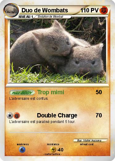 Pokemon Duo de Wombats