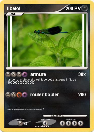 Pokemon libelol