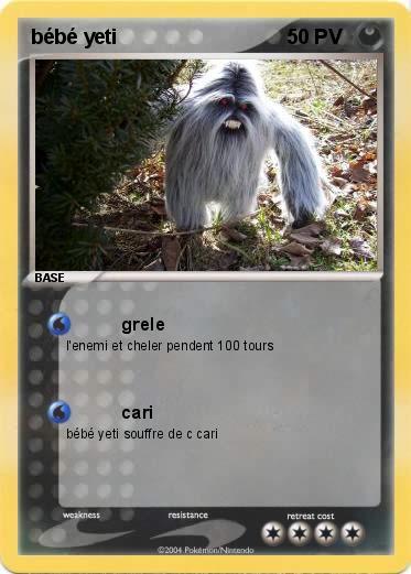 Pokemon bébé yeti