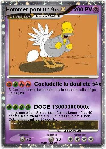 Pokemon Hommer pont un 9