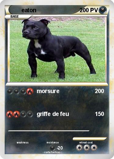 Pokemon eaton