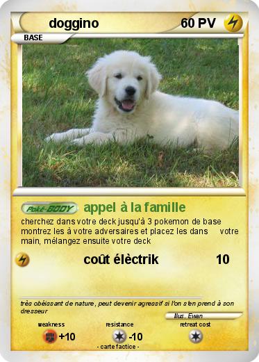 Pokemon doggino