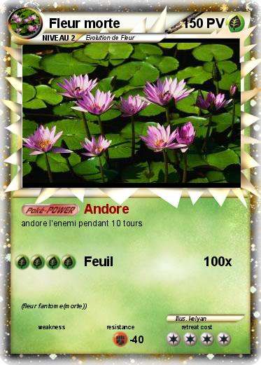 Pokemon Fleur morte