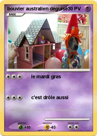 Pokemon bouvier australien déguisé