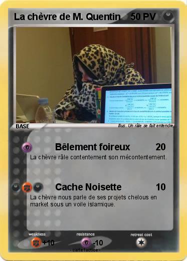 Pokemon La chèvre de M. Quentin