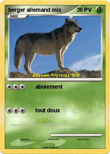 Pokemon berger allemand mix