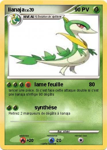 Pokemon lianaja