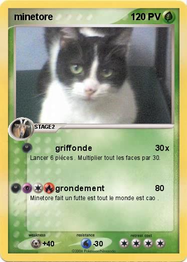 Pokemon minetore