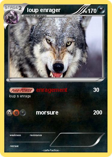 Pokemon loup enrager