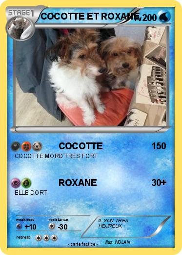 Pokemon COCOTTE ET ROXANE