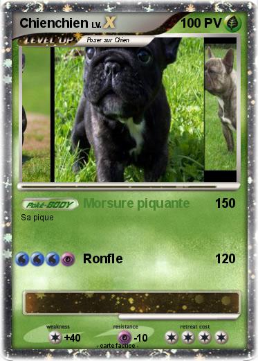 Pokemon Chienchien