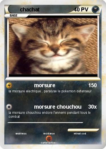 Pokemon chachat
