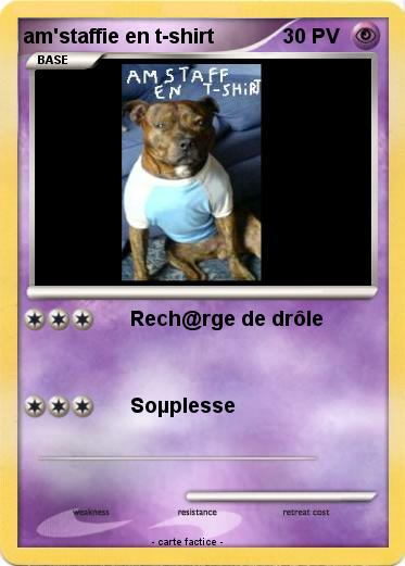 Pokemon am'staffie en t-shirt