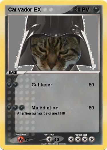 Pokemon Cat vador EX