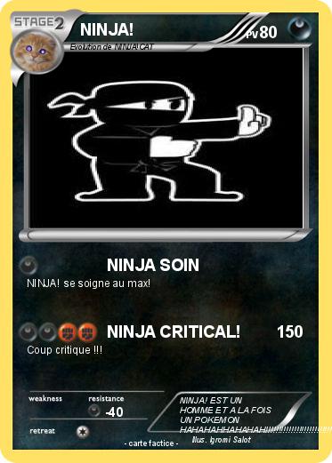 Pokemon NINJA!