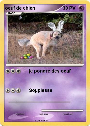 Pokemon oeuf de chien