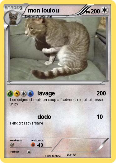 Pokemon mon loulou