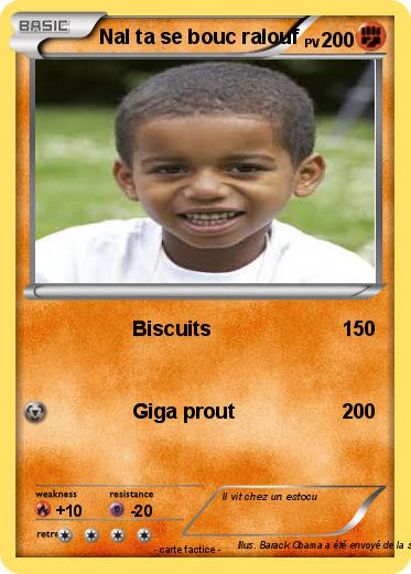 Pokemon Nal ta se bouc ralouf