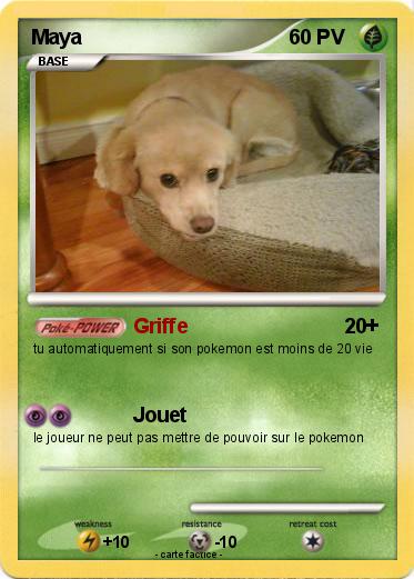Pokemon Maya