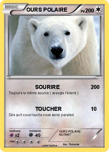 Pokemon OURS POLAIRE