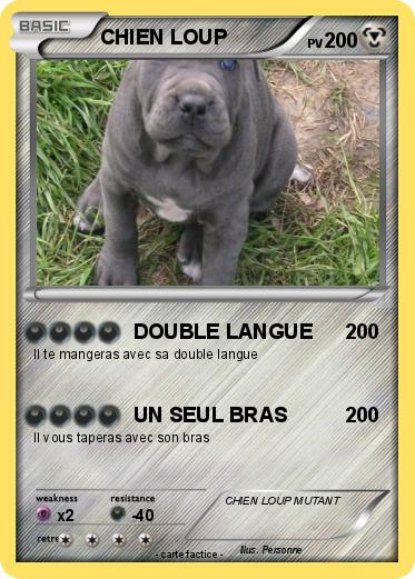 Pokemon CHIEN LOUP
