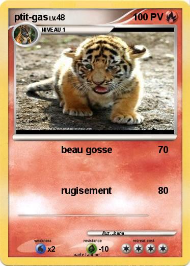 Pokemon ptit-gas