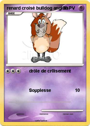 Pokemon renard croisé bulldog anglais