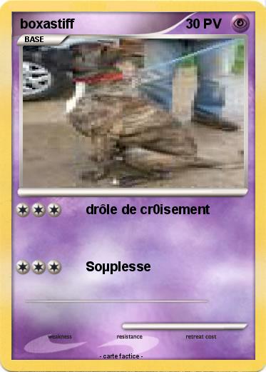 Pokemon boxastiff