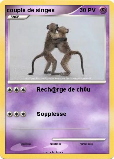 Pokemon couple de singes