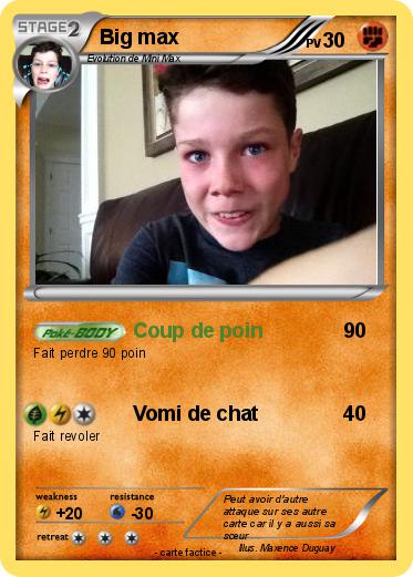 Pokemon Big max
