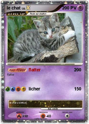 Pokemon le chat