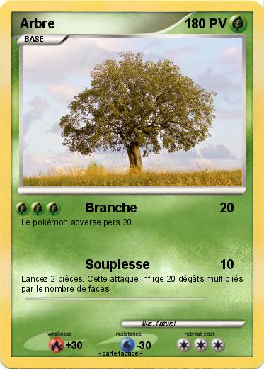 Pokemon Arbre