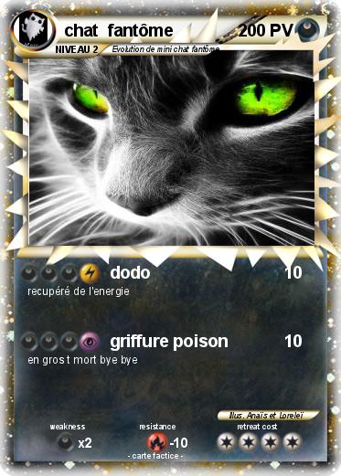Pokemon chat  fantôme