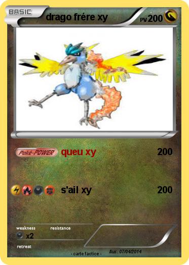 Pokemon drago frére xy
