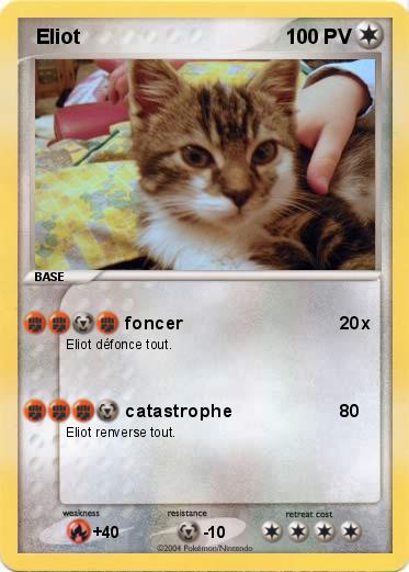 Pokemon  Eliot