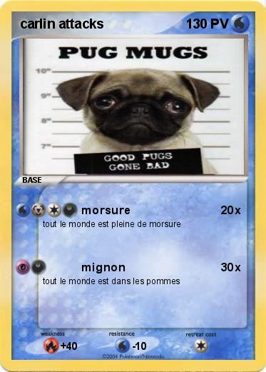 Pokemon carlin attacks