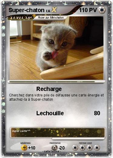 Pokemon Super-chaton