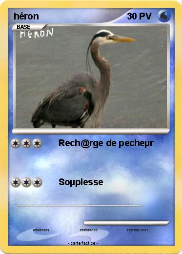 Pokemon héron