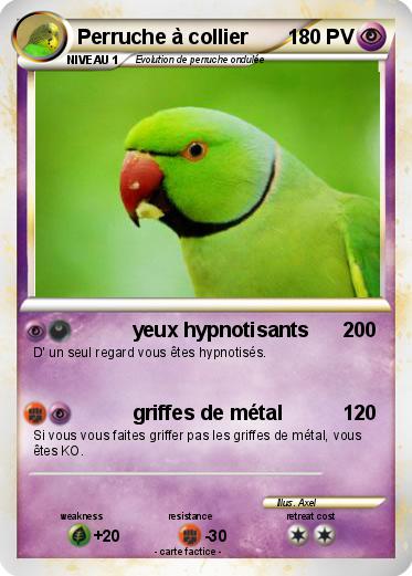 Pokemon Perruche à collier